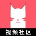 猫咪app18+最新隐藏地址安卓版下载