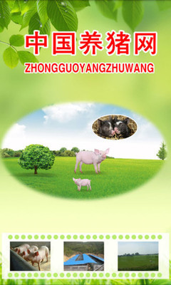 中国养猪网截图1